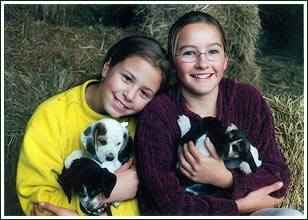 Puppies
