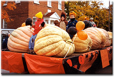 Pumpkin Fest in Wellington